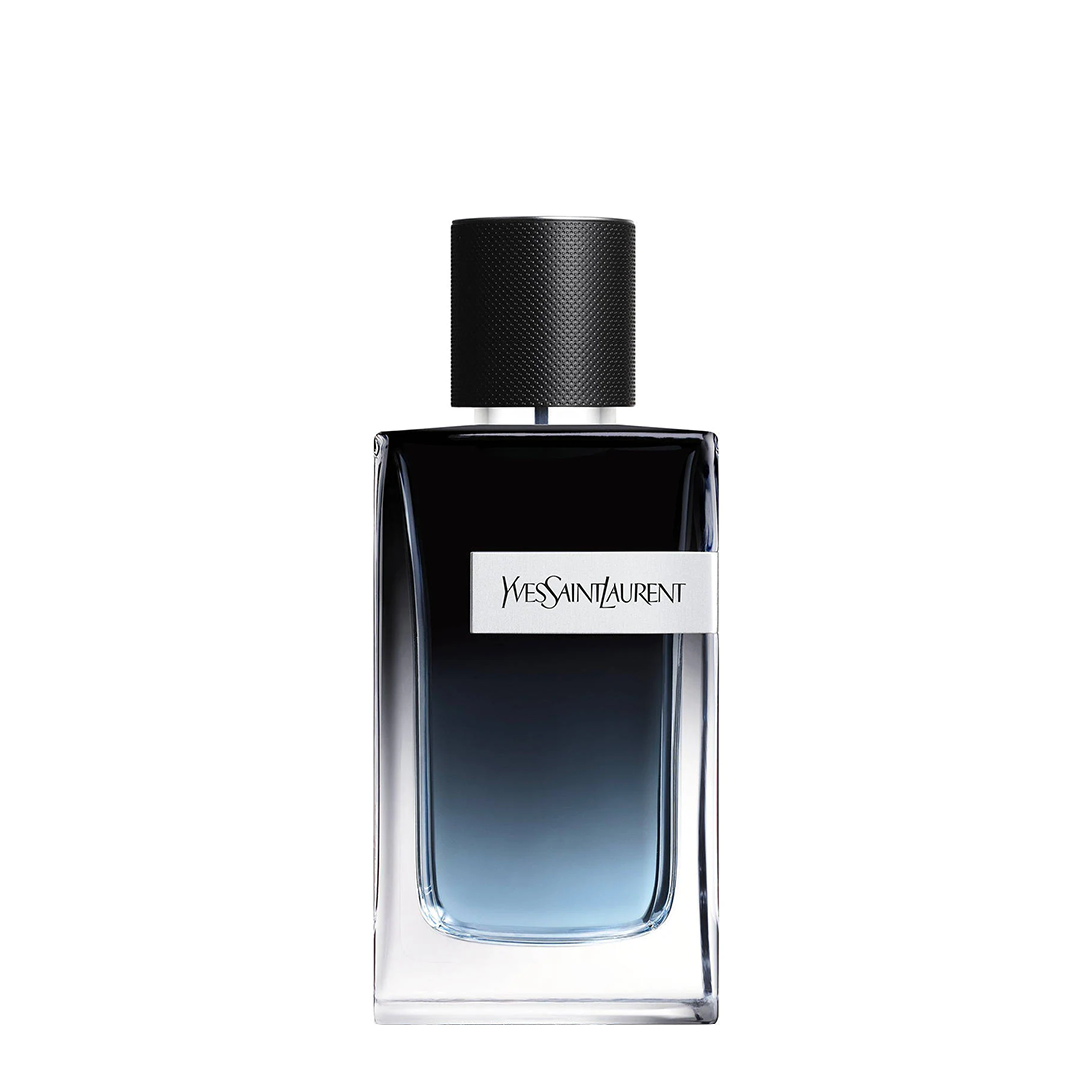 YVES SAINT LAURENT Y